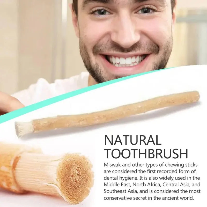 MiswakStick™ Natural Toothbrush